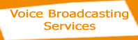 Voice Broadcasting, Voice Mail Broadcasting, Voice Messaging, Political Campaign Solutions, Reminder Solutions